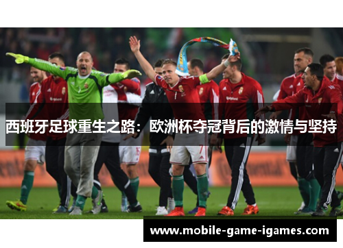 西班牙足球重生之路：欧洲杯夺冠背后的激情与坚持