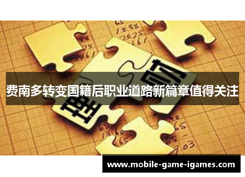 费南多转变国籍后职业道路新篇章值得关注